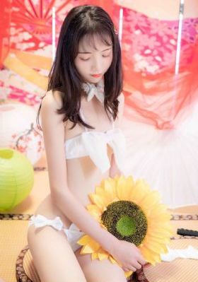 觐天宝匣_HD日韩免费观看